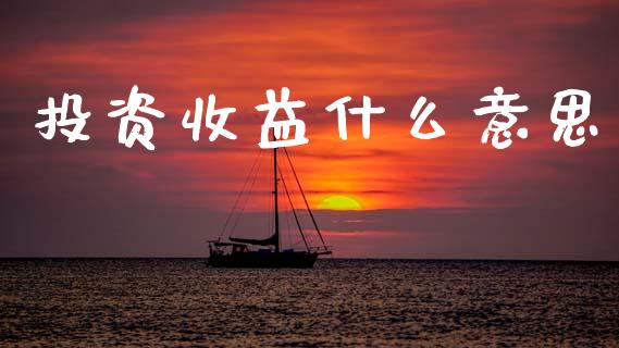 投资收益什么意思_https://www.ltsssb.com_国际财经_第1张