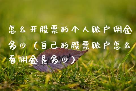 怎么开股票的个人账户佣金多少（自己的股票账户怎么看佣金是多少）_https://www.ltsssb.com_股市分析_第1张
