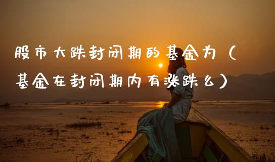 股市大跌封闭期的基金为（基金在封闭期内有涨跌么）_https://www.ltsssb.com_基金频道_第1张