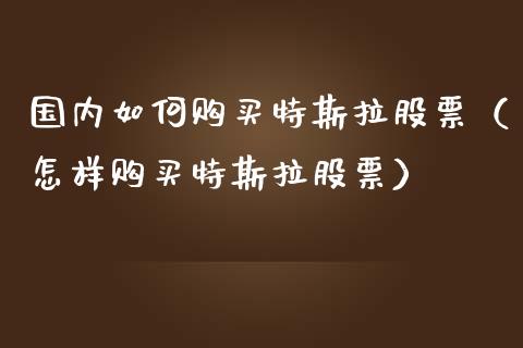 国内如何购买特斯拉股票（怎样购买特斯拉股票）_https://www.ltsssb.com_股市分析_第1张