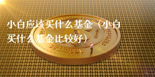 小白应该买什么基金（小白买什么基金比较好）_https://www.ltsssb.com_基金频道_第1张
