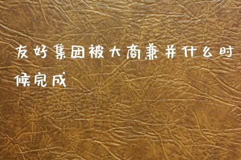 友好集团被大商兼并什么时候完成_https://www.ltsssb.com_期货在线_第1张