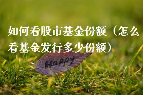 如何看股市基金份额（怎么看基金发行多少份额）_https://www.ltsssb.com_基金频道_第1张
