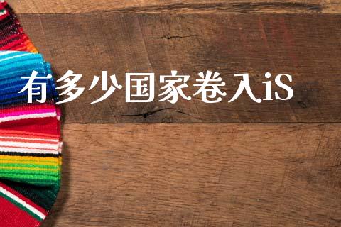 有多少国家卷入iS_https://www.ltsssb.com_期货密码_第1张