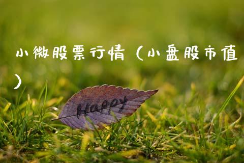 小微股票行情（小盘股市值）_https://www.ltsssb.com_股市分析_第1张