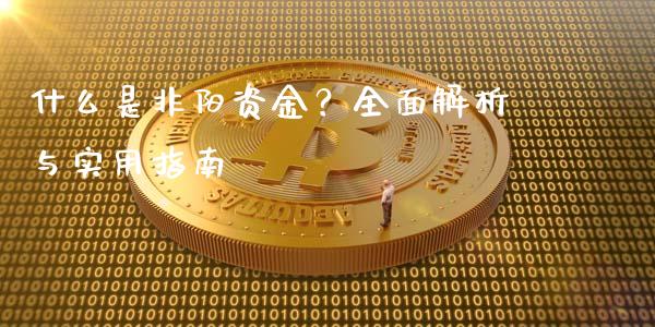 什么是非阳资金？全面解析与实用指南_https://www.ltsssb.com_国际财经_第1张