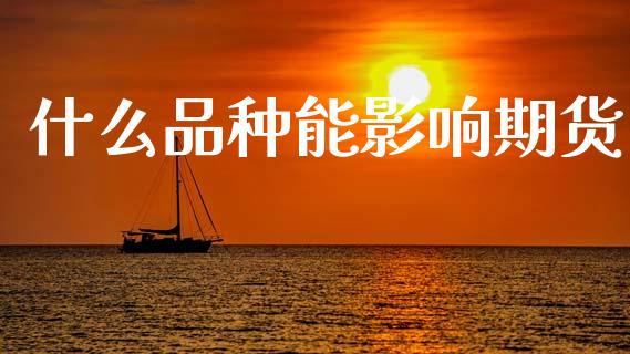 什么品种能影响期货_股市分析_第1张_IT财经网 什么品种能影响期货_https://www.ltsssb.com_股市分析_第1张
