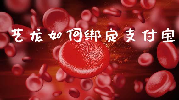 艺龙如何绑定支付宝_期货密码_第1张_IT财经网 艺龙如何绑定支付宝_https://www.ltsssb.com_期货密码_第1张