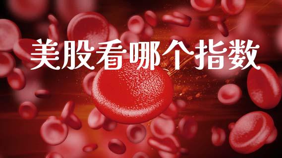 美股看哪个指数_https://www.ltsssb.com_基金频道_第1张