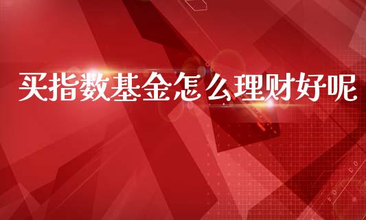 买指数基金怎么理财好呢_https://www.ltsssb.com_基金频道_第1张