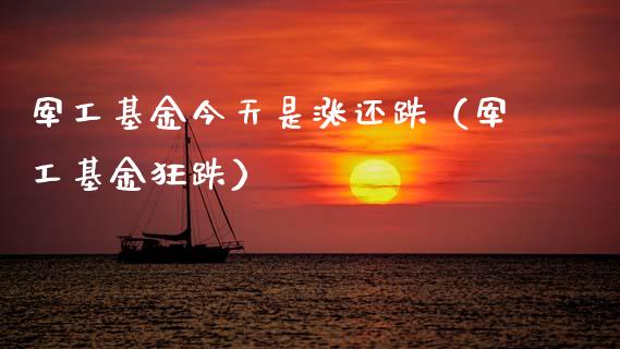 军工基金今天是涨还跌（军工基金狂跌）_https://www.ltsssb.com_基金频道_第1张