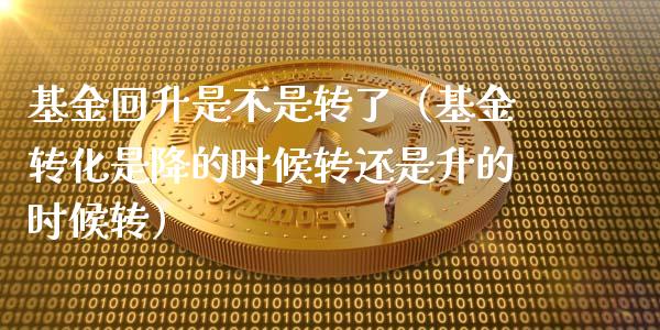 基金回升是不是转了（基金转化是降的时候转还是升的时候转）_https://www.ltsssb.com_国际财经_第1张