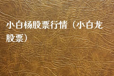 小白杨股票行情（小白龙 股票）_https://www.ltsssb.com_股市分析_第1张