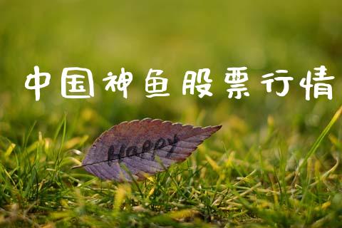 中国神鱼股票行情_https://www.ltsssb.com_股市分析_第1张