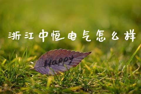 浙江中恒电气怎么样_https://www.ltsssb.com_国际财经_第1张