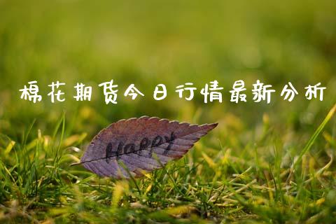 棉花期货今日行情最新分析_https://www.ltsssb.com_期货行情_第1张