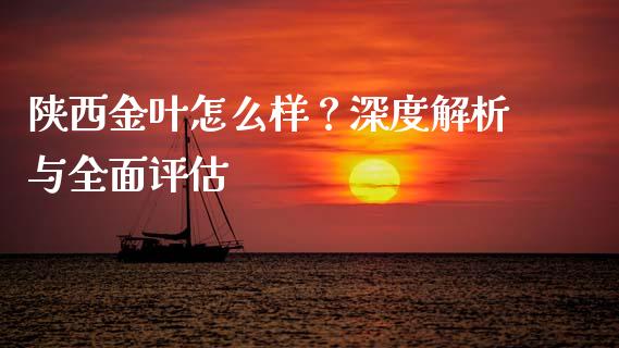 陕西金叶怎么样？深度解析与全面评估_https://www.ltsssb.com_基金频道_第1张
