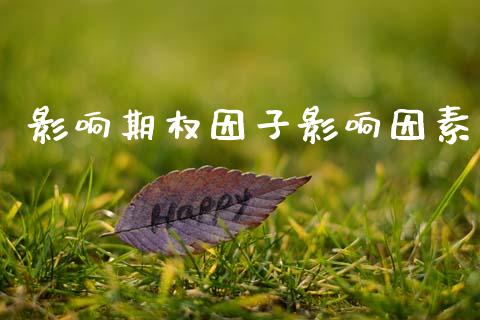 影响期权因子影响因素_https://www.ltsssb.com_期货密码_第1张