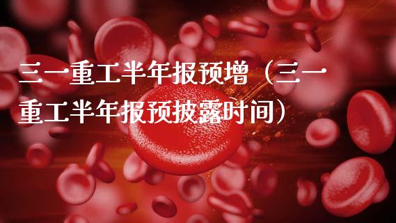 三一重工半年报预增（三一重工半年报预披露时间）_https://www.ltsssb.com_新股数据_第1张