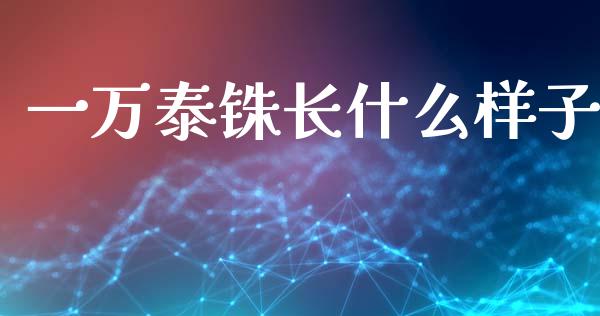 一万泰铢长什么样子_https://www.ltsssb.com_国际财经_第1张
