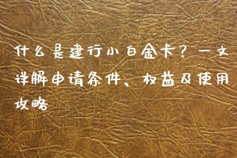 什么是建行小白金卡？一文详解申请条件、权益及使用攻略_https://www.ltsssb.com_期货密码_第1张