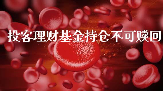 投客理财基金持仓不可赎回_https://www.ltsssb.com_基金频道_第1张