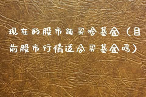 现在的股市能买啥基金（目前股市行情适合买基金吗）_https://www.ltsssb.com_基金频道_第1张