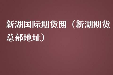 新湖国际期货网（新湖期货总部地址）_https://www.ltsssb.com_期货密码_第1张