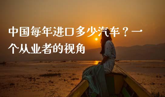 中国每年进口多少汽车？一个从业者的视角_https://www.ltsssb.com_股票理论_第1张