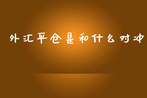 外汇平仓是和什么对冲_https://www.ltsssb.com_基金频道_第1张