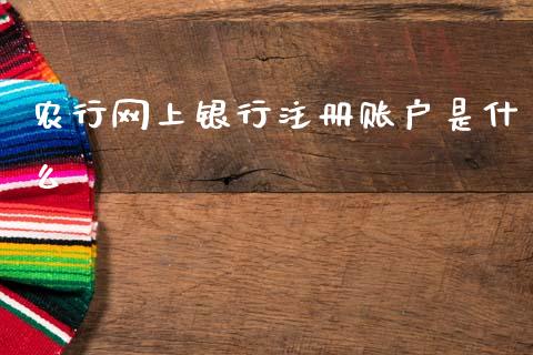 农行网上银行注册账户是什么_https://www.ltsssb.com_股市分析_第1张
