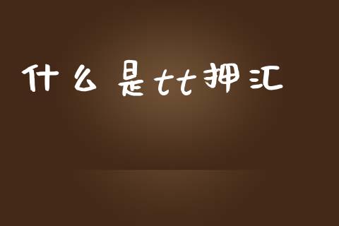 什么是tt押汇_https://www.ltsssb.com_国际财经_第1张