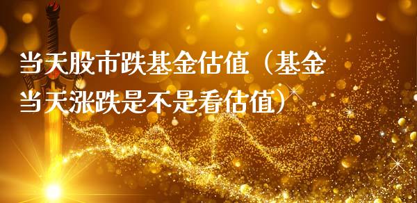当天股市跌基金估值（基金当天涨跌是不是看估值）_https://www.ltsssb.com_国际财经_第1张