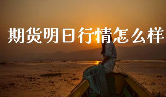 期货明日行情怎么样_https://www.ltsssb.com_期货在线_第1张