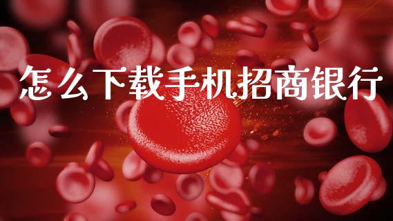 怎么下载手机招商银行_https://www.ltsssb.com_期货行情_第1张