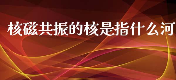 核磁共振的核是指什么河_https://www.ltsssb.com_股市分析_第1张