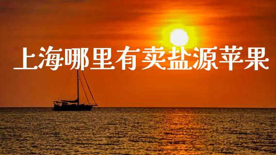 上海哪里有卖盐源苹果_https://www.ltsssb.com_新股数据_第1张