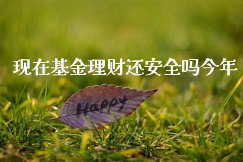 现在基金理财还安全吗今年_https://www.ltsssb.com_基金频道_第1张