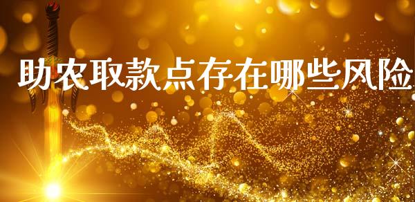 助农取款点存在哪些风险_https://www.ltsssb.com_新股数据_第1张