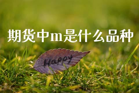 期货中m是什么品种_https://www.ltsssb.com_股票理论_第1张