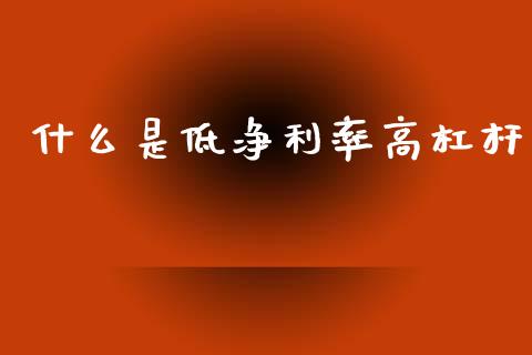 什么是低净利率高杠杆_https://www.ltsssb.com_国际财经_第1张