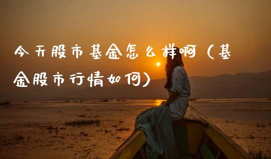 今天股市基金怎么样啊（基金股市行情如何）_https://www.ltsssb.com_基金频道_第1张