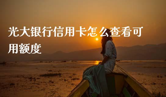 光大银行信用卡怎么查看可用额度_https://www.ltsssb.com_期货在线_第1张