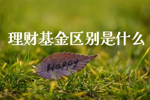理财基金区别是什么_https://www.ltsssb.com_基金频道_第1张
