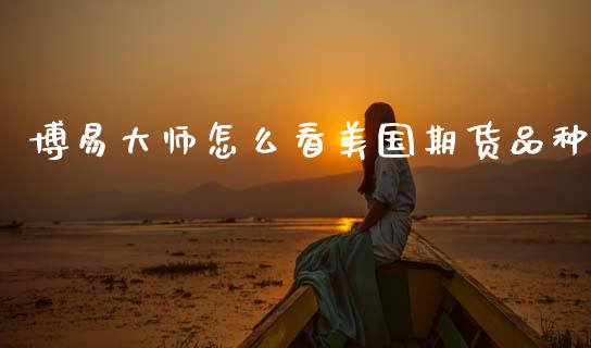 博易大师怎么看美国期货品种_https://www.ltsssb.com_期货在线_第1张