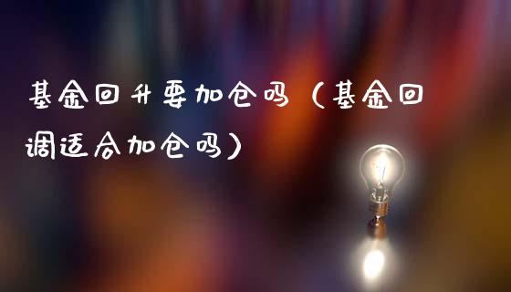 基金回升要加仓吗（基金回调适合加仓吗）_https://www.ltsssb.com_国际财经_第1张