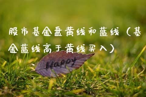 股市基金盘黄线和蓝线（基金蓝线高于黄线买入）_https://www.ltsssb.com_基金频道_第1张