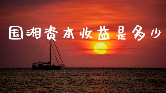 国湘资本收益是多少_https://www.ltsssb.com_国际财经_第1张