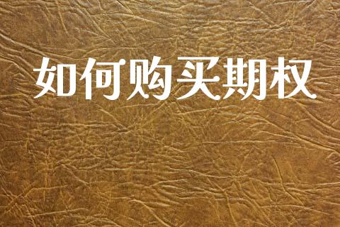 如何购买期权_https://www.ltsssb.com_股市分析_第1张