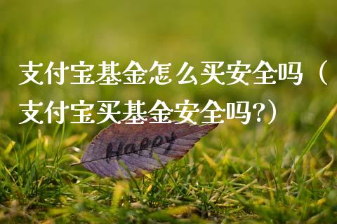 支付宝基金怎么买安全吗（支付宝买基金安全吗?）_https://www.ltsssb.com_基金频道_第1张